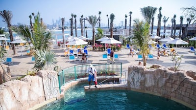 Immortal Falls, part of Trident Tower, is a cliff-jumping experience.