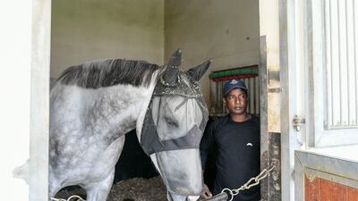 The horses are well-kept and managed at the stables in JA The Resort, Dubai
