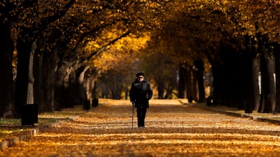 A woman walks under the trees amid fallen autumn leaves in Moscow, Russia. Reuters