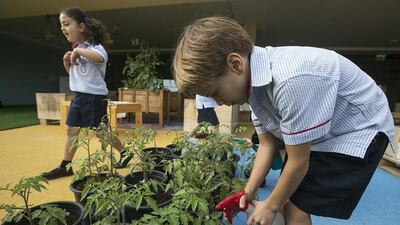 Teachers receive mindfulness, gardening and nutrition training from Sandy Seeds, which also provides schools lesson plans to integrate into the curriculum, packets of organic seeds from Australia and planters. Mona Al Marzooqi / The National / February 22, 2017