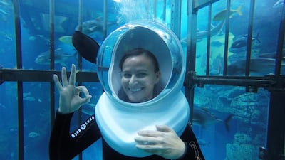 Amanda Tomlinson tries out the Shark Encounter Experience. Courtesy Amanda Tomlinson