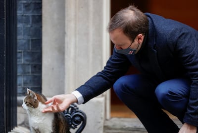 British Health Secretary Matt Hancock pets Larry the cat outside Downing Street, home of the UK Prime Minister, as the country enters its third lockdown. Reuters