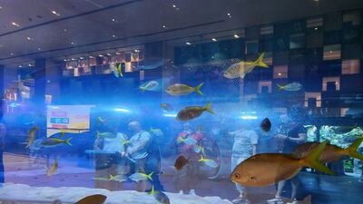 Residents and visitors at Dubai Aquarium and Underwater Zoo at The Dubai Mall.