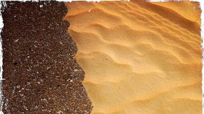 Day trip with friends to the Western Region and the Mazayin Dhafra Camel Festival, 220 kms west of Abu Dhabi on December 20, 2013. Sand accumulation along side the road. Picture taken with the Hipstamatic app for the iPhone. Liz Claus / The National