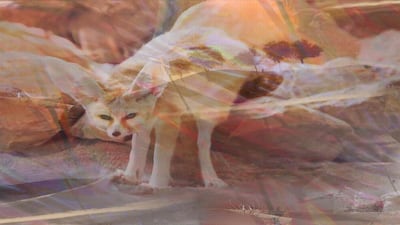 Courtesy Swiss Art Gate