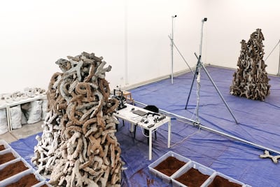 Early versions of the prototype will be on display at the Wetland Research Lab in Dubai’s Alserkal Avenue. Courtesy National Pavilion UAE