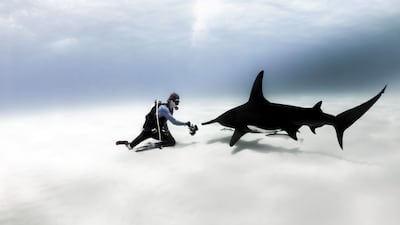 Dive watches have been the preserve of the adventurous for nearly a centurym but they're increasingly a style statement. Photo: Ulysse Nardin