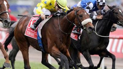 Dunaden, here with Christophe Lemaire aboard for a winning run in the Melbourne Cup, will break from Gate 3 for the Hong Kong Vase.
