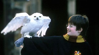 Daniel Radcliffe as Harry Potter in 'Harry Potter and the Philosopher's Stone'. Courtesy Warner Bros