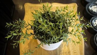 Christopher Pike / The National