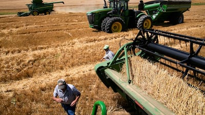 A wheat field in Shelbyville, Kentucky. Diesel is a crucial fuel for vehicles used in several heavy-duty industries, including agriculture. Reuters