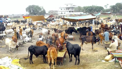 No.3, GUJRANWALA, PAKISTAN. Gujranwala in Pakistan has extremely polluted air due to heavy traffic and use of fuel powered vehicles including cars, rickshaws and trucks. Other causes of pollution are caused by factory and industrial emissions. Getty Images