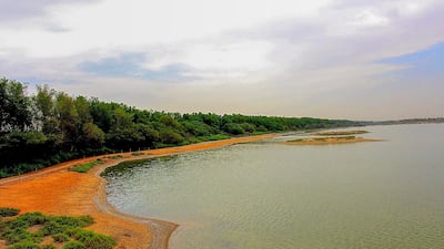 Wasit Nature Reserve was designated as a protected area by the Ruler of Sharjah in 2007. Wam
