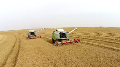 Experts says new farms, such as Al Maha Pivot Fields, have provided new habitats in recent years. Courtesy Elite Agro