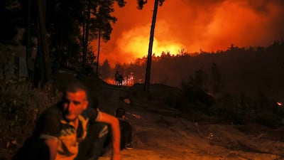 Syrian Civil Defence teams and volunteers battle wildfires near the town of Kasab, in Syria's Latakia countryside. AP Photo