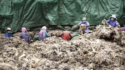 Workers sort sheep’s wool before it is processed and bleached at a factory near Zhangzhou, China. Kevin Frayer / Getty Images