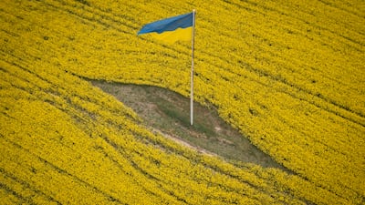 A Ukrainian national flag in the middle of a blossoming field near Brovary, east of Kyiv. AP