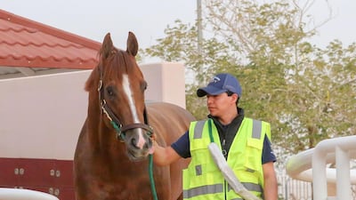 Mucho Gusto arrives in Riyadh ahead of the $29.2m Saudi Cup day. Courtesy Mohammed Alshinaifi / Saudi Cup