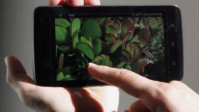 Dell Streak: Scroll Featuring a 12.7cm screen, the portability of this device is what makes it unique. It easily fits in your pocket, but can also function as a mobile phone, albeit a hefty one. Play The Streak also uses Google's Android operating system, but with a few modifications. It features a front-facing camera and a five-megapixel camera with flash on the back. With a host of built-in software goodies, such as web browsing, music, videos and calendars, this tablet packs a punch. All apps from the Android Marketplace function on this device. Rewind The Streak suffers from a choppy and inconsistent user interface, which can be frustrating at times. Dh2,399