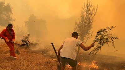 People use tree branches to put out a wildfire in the village of Iboudraren in the Kabylie region of Tizi Ouzou.