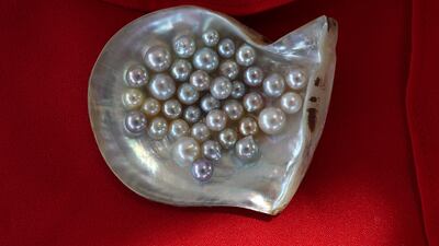 Pearls displayed at Al Suwaidi pearl farm.