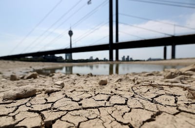 A dried river bed of the Rhine river in Duesseldorf, Germany, where water levels are falling sharply. Germany experienced a heat wave with temperatures up to 42C. EPA