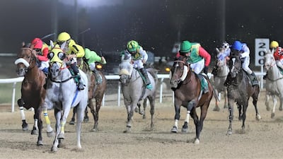 Bernardo Pinheiro (in yellow) guides Jayide Al Boraq to victory at Al Ain racecourse for his sixth win in eight starts at the track. Courtesy Al Ain Equestrian Club
