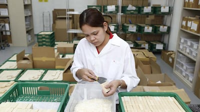 Ira Balang does a final quality check of soap produced at The Camel Soap Factory before packaging. Antonie Robertson / The National