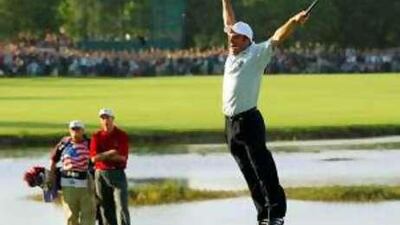 Seamus Buckley says the Irish have had a large influence over destiny of the Ryder Cup.