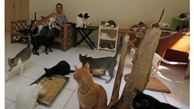 Petra Mueller provides a home to about 120 cats in her villa in Umm Suqeim - down from 180 this summer, when financial troubles persuaded her to find many of them new homes.