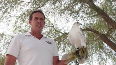 David Stead of Al Hurr Falconry Services says, "Falconry consumes my life and it has done so since I discovered it at the age of 11." Jeffrey E Biteng / The National