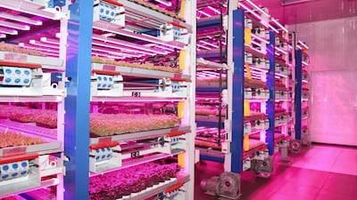 The crop-growing warehouse in Al Quoz, Dubai, run by Badia Farms. Badia Farms