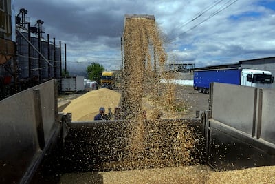 Ukraine says the grain was stolen by Russia from its occupied territories. Reuters