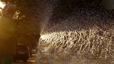 Readers urge the people to pay more attention to conservation efforts in Abu Dhabi. Ryan Carter / The National