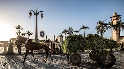 A man drives a horse-drawn cart loaded with alfalfa along a road past the Temple of Luxor and the 13th century Abu Haggag mosque. AFP