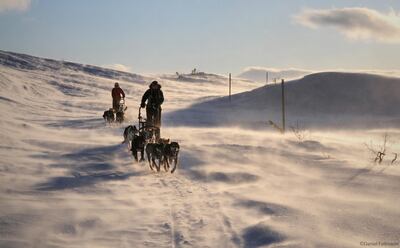 Husky Sledding in Norway. NHA Nature Travels