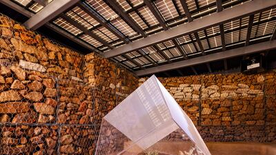 Stephanie Deumer has created an underground greenhouse for 'Under the Same Sun'.