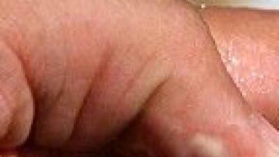 A pearl inside an oyster at the RAK oyster farm. Pawan Singh / The National