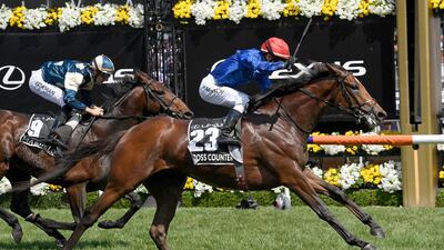 Cross Counter storming to victory in the Melbourne Cup. Andy Brownbill / AP