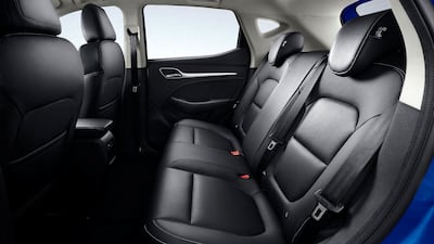 Just the spot for your favourite backseat driver.