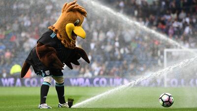 The West Bromwich Albion mascot shown before kick off against West Ham. Shaun Botterill / Getty Images