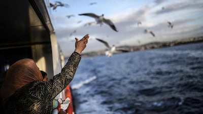 A Syrian refugee family from Aleppo feed seagulls while crossing the Bosphorus from Uskudar to the European side of Istanbul. Bulent Kilic / AFP