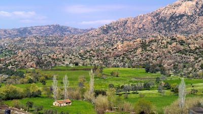 The hillsides of Bodrum hold ancient forests of pine, scrub and olive trees.