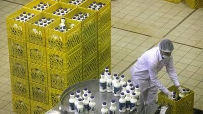 Al Khawaneej, April 7, 2011 - An employee at Al Rawabi Farm in the milk production area at the farm in Al Khawaneej, Dubai, April 7, 2011. Seven thousand cows are milked three times a day in two parlors that can milk 180 cows at once. Approximately 250,000 liters of milk are produced daily at the farm. (Jeff Topping/The National)An employee works in Al Rawabi Dairy’s milk production area. The company’s farm is adjacent to its processing plant, meaning its milk suffers little exposure during transit.