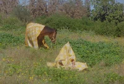Land of Barbar, shot in the Tunisian city of Sousse, is based on Boccaccio’s The Decameron. Photo: Tiff