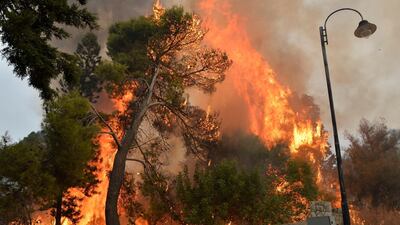 A view of bush fires in Mechref area south Beirut, Lebanon. According to reports, 18 people were admitted to hospitals for treatment following multiple wildfires. EPA