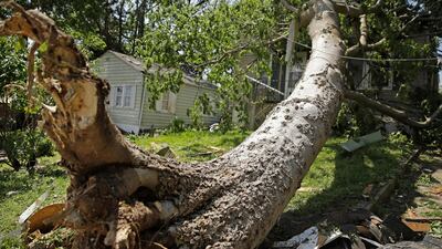 An uprooted tree rests on a home in Jefferson City. AP Photo