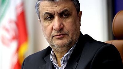 Mohammad Eslami, the head of Iran’s nuclear programme. AFP