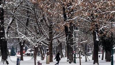A man pulls a child on a sled in Skopje during heavy snowfall on February 26, 2018. Robert Atanasovski / AFP
