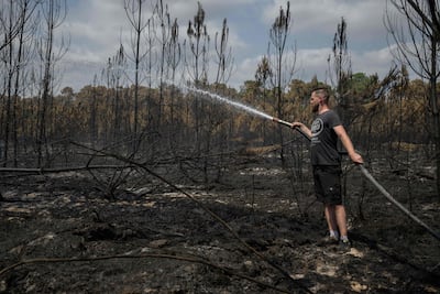Volunteers attempt to prevent resurgent fires in a forest near Blagon, south-west France. AFP